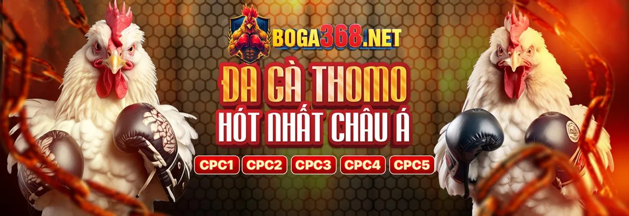 7ball game bài đổi thưởng trực tuyến