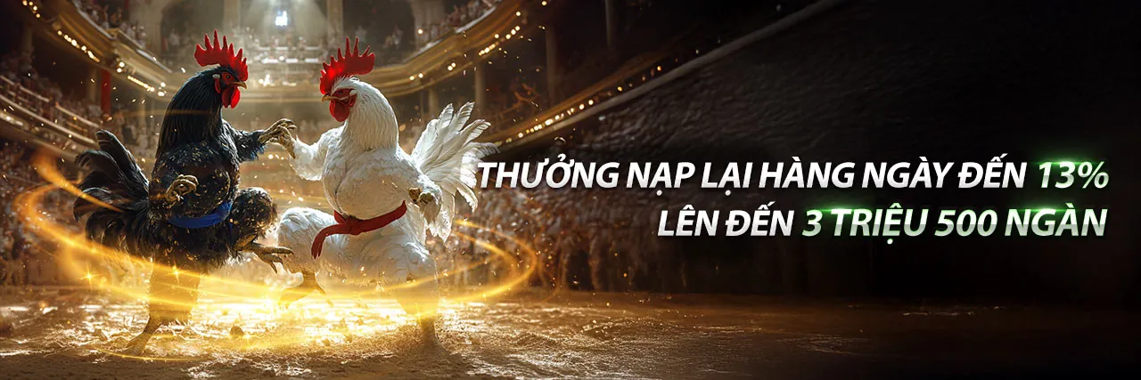7ball lô đề - nền tảng cá cược lô đề trực tuyến hàng đầu Việt Nam