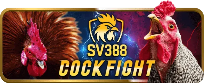 Cách xem và đặt cược đá gà trực tuyến 7ball